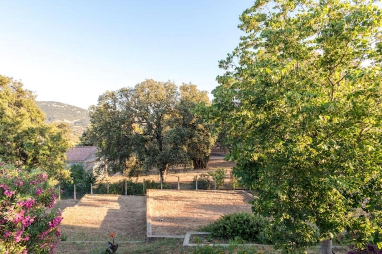 Appartement Dans Maison Chaleureuse Olmeto  Kültér fotó